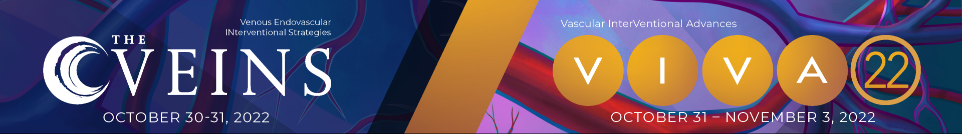VIVA and The VEINS 2022 Event Banner