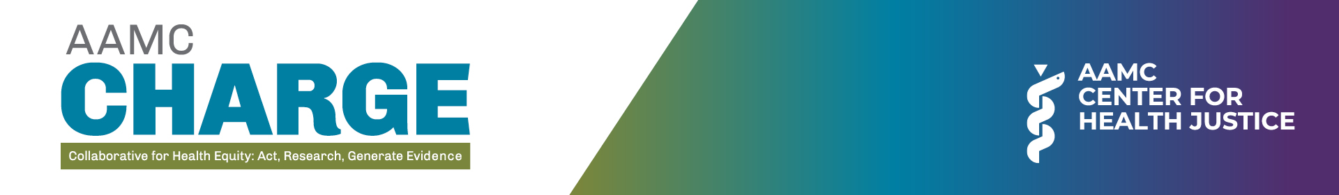 CHARGE Investigates: 2026 Call for Research  Event Banner