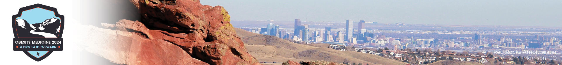 Submitter Login Page - Call for Proposals - Obesity Medicine 2024