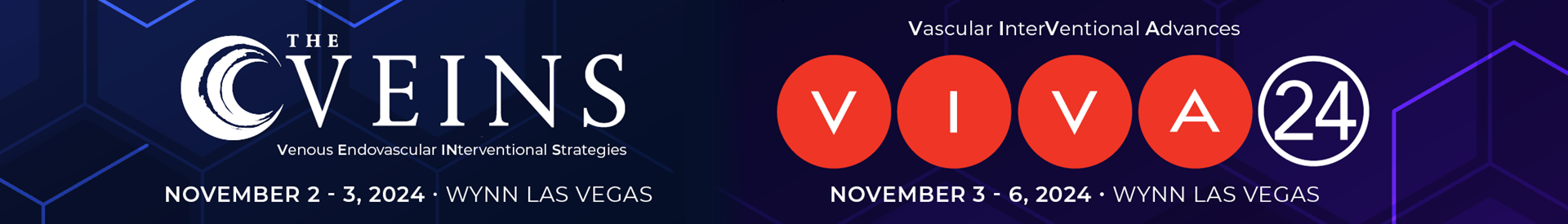 VIVA and The VEINS 2024 Event Banner