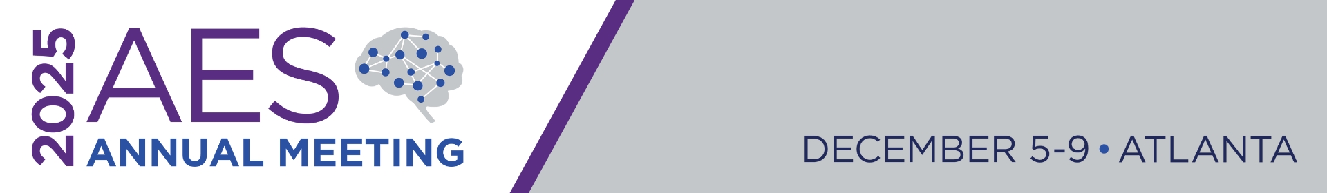 2025 AES Posters Event Banner