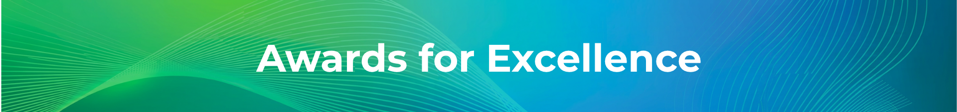 2027 Awards for Excellence Event Banner