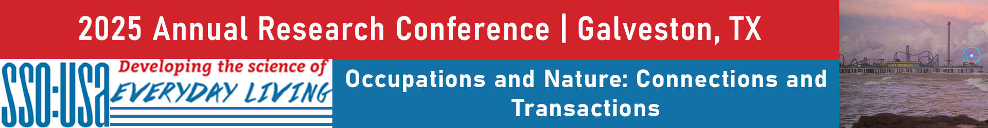 SSO:USA Society for the Study of Occupation
